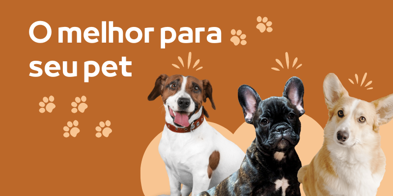 Primeiro Slide