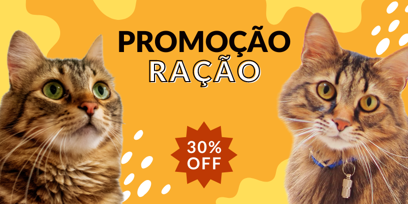 Terceiro Slide